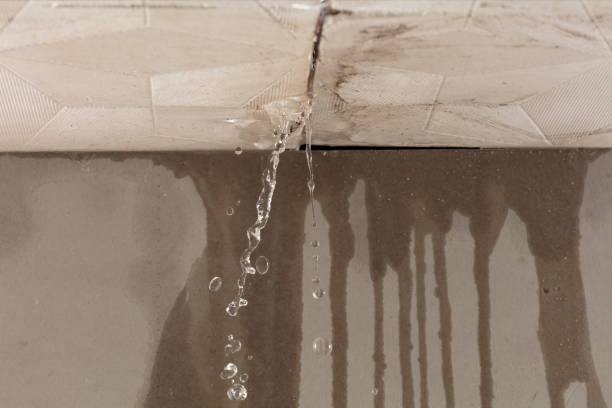 Professional Water Damage Repair technician working in Darlington, PA